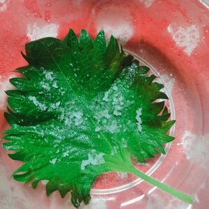 おにぎりや長期保存に 大葉の塩漬け レシピ 作り方 By あやめぇ 楽天レシピ おにぎりや長期保存に 大葉の塩漬け レシピ 作り方 By あやめぇ 楽天レシピ